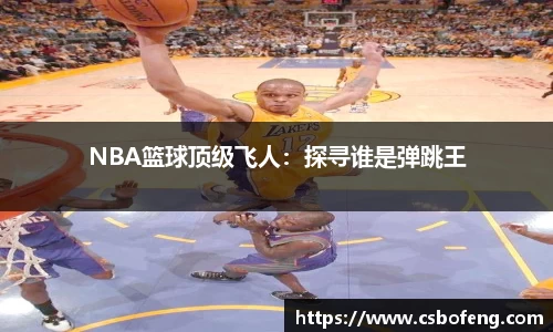 NBA篮球顶级飞人：探寻谁是弹跳王